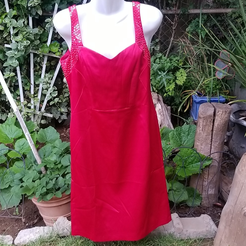 Beautiful Red Dress